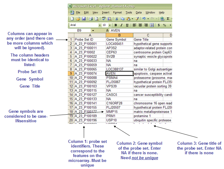 CHIP Format