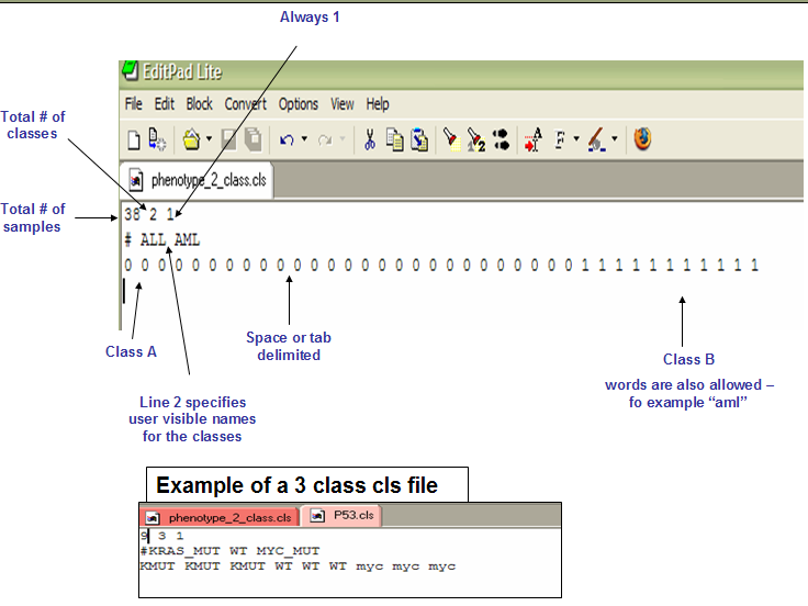 CLS Format