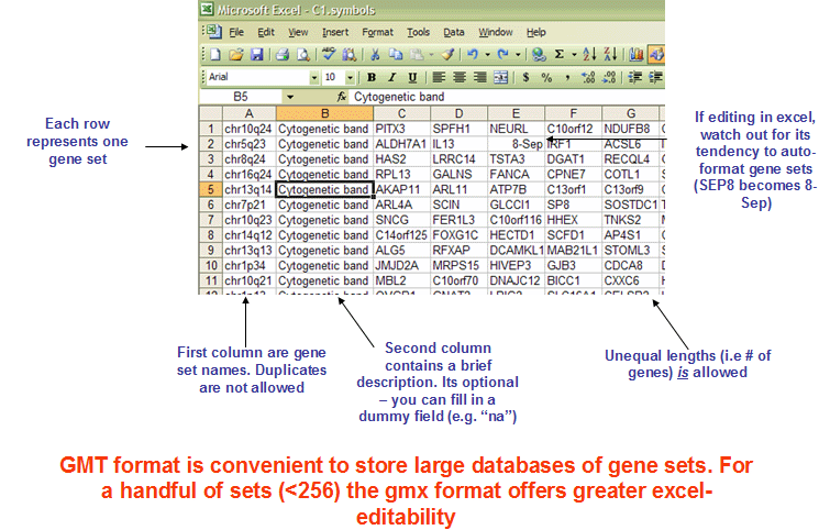 GMT Format